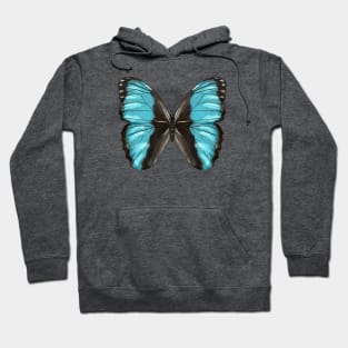 Blue Butterfly Insect Lover Art Hoodie